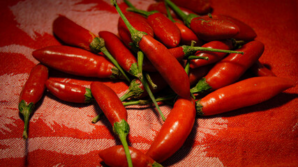 Chili pepper, red ripe pepper on red tablecloth, hot spices, calabrian hot pepper, red background, italy