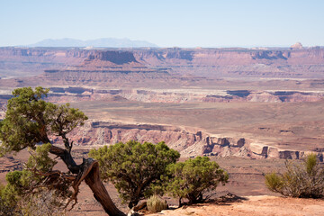 beautiful red, brown and yellow rock formations in a collection of giant natural canyons, Utah USA