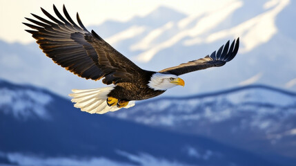 Naklejka premium A majestic bald eagle soaring above a mountain range
