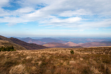 Naklejka premium autumn in the mountains
