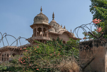 Gobardhan is a town at the foot of Govardhan Hill, which is an important pilgrimage site for...