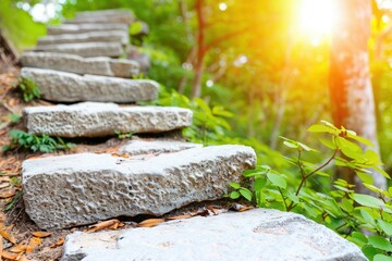 Stone steps winding through a lush green forest at sunrise in a tranquil natural setting