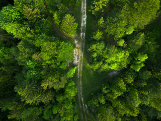 Aerial view of the forest road in Godovič, Slovenia