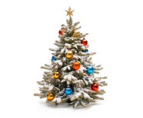 Christmas Tree isolated on white background