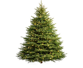 Christmas Tree isolated on white background