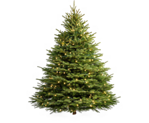 Christmas Tree isolated on white background
