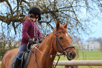 Riding a horse on an autumn day