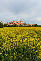 Vertical photo of a yellow blooming rapeseed field with a beautiful medieval town on a hill in the distance. The romantic Mikulov chateau captured during spring from afar