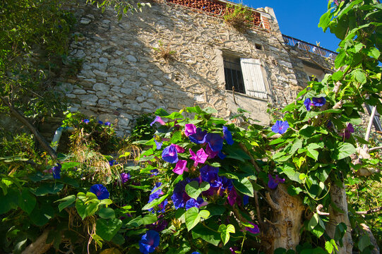 Le Castellet in S&uuml;dfrankreich