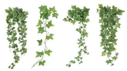 Set of Artificial Ivy Vines on a Transparent Background for Decoration Generative AI