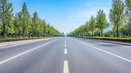 Fototapeta premium A wide, tree-lined road stretches into the distance under a clear blue sky.