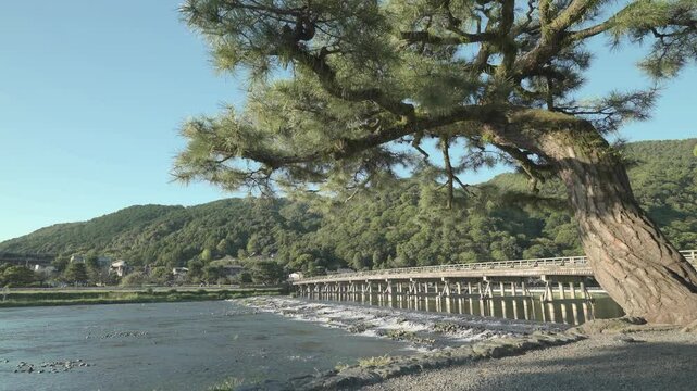 京都の渡月橋