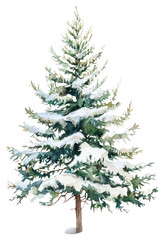 Obraz premium PNG A pine tree illustration watercolor christmas.