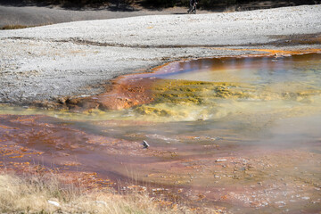 an active geyser spring with an intermittent discharge of water ejected turbulently and accompanied by steam