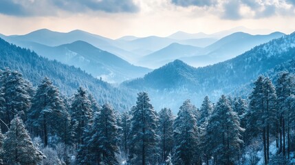 A snowy landscape with a mountain in the background