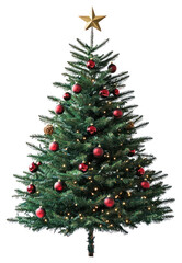 Fototapeta premium PNG Real Christmas tree christmas decoration decorated.