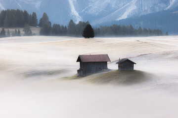 Ethereal morning mist with frost covers the serene alpine meadows of Alpe di Siusi in the Italian Dolomites, South Tyrol, with rustic cabins and a tranquil ambiance.