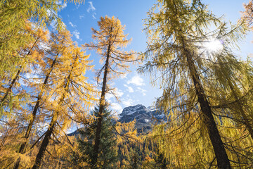 Alpe Devero mountains autumnal landscape