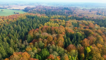 Drone view of a mixed forest in Northern Europe with bright autumn colors.