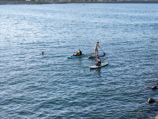 Fototapeta premium Young people enjoying marine sports such as SUP in Keelung City, Taiwan. September 2024