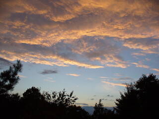 Blue sky with natural pink clouds illuminated by the setting sun over dark trees and branches on summer evening. Topics: weather, meteorology, atmosphere, air space, natural environment, nature, dusk