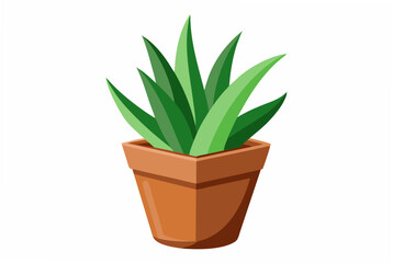 Aloe vera in flower pot vector art illustration