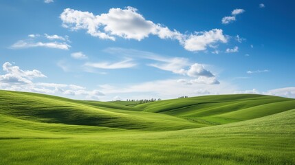 Fototapeta premium a field of green grass under a blue sky, Nature Landscape with Lush Greenery.