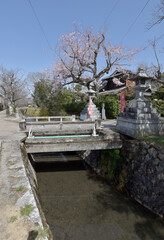 哲学の道　大豊神社参道入口の橋　京都市左京区