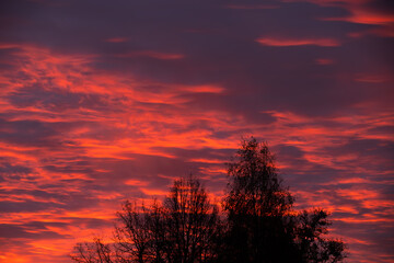 A striking sunset sky glows in deep orange and red hues, with tree silhouettes in the foreground. The vivid colors create a dramatic and peaceful scene. Copy space available.