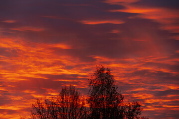 A striking sunset sky glows in deep orange and red hues, with tree silhouettes in the foreground....