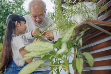 Obraz premium Asian young attractive girl and grandfather standing beside a green potted plant at home held, World Environment Day concept