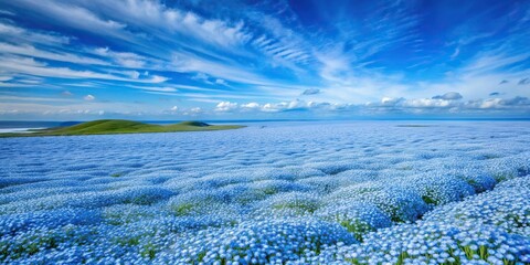 Vast blue flower field landscape