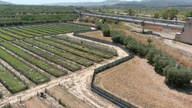 allevamento di lumache in campagna