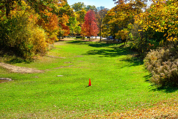 Fototapeta premium autumn in the park with bright red foilage shot in the glen stewart ravine of beaches neighbourhood of toronto room for text