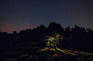 Dans la nuit, une lueur de vie