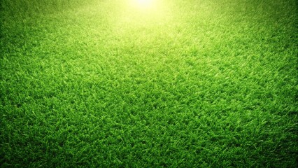 Naklejka premium green grass background wallpaper silhouette