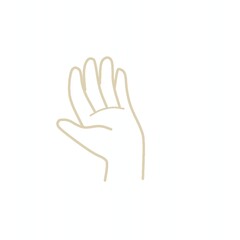 Obraz premium 手のひら