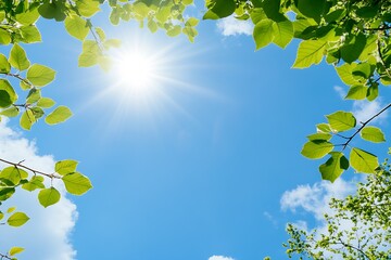 Obraz premium Bright Sunlight Shining Through Green Leaves Against Blue Sky Backdrop : Generative AI