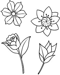 hand drawn flowers