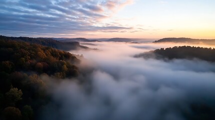 Scenic Misty Valley with Autumn Forest at Dawn Aerial View : Generative AI