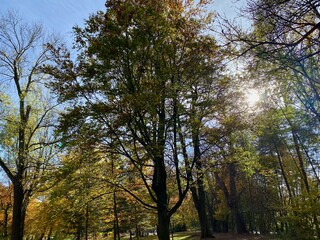 Der Stadtpark von Nordhausen mit der Zorge und dem Gondelteich an einem sonnigen Tag im Herbst