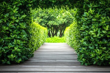 Naklejka premium Serene Green Garden Pathway Surrounded by Lush Vegetation on a Sunny Day : Generative AI
