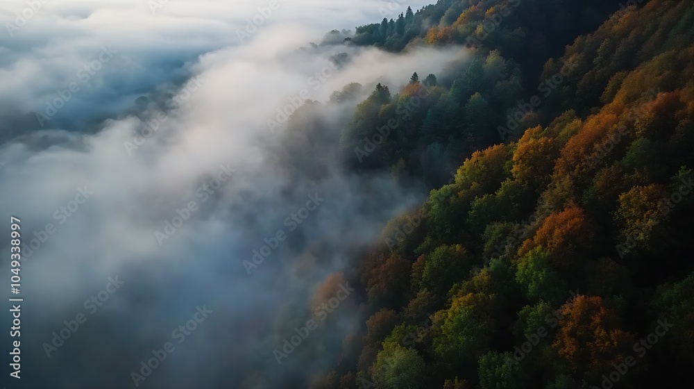 Poster aerial view of misty forest with vibrant autumn foliage draped in clouds : generative ai