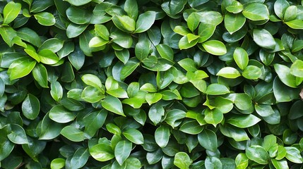 Obraz premium Vibrant green leaf pattern background perfect for nature inspired designs and ecofriendly concepts : Generative AI