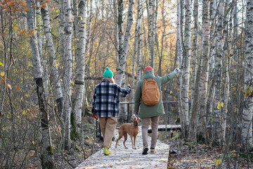 Fototapeta premium Calm woman, pleased man strolling along wooden path through dense woods, bare autumn trunks of trees, talking, chatting, discussing topics, speaking. Girl guy wandering with puppy, domestic pet.