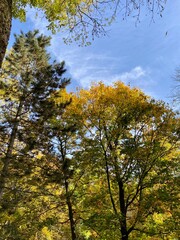 Der Stadtpark von Nordhausen mit der Zorge und dem Gondelteich an einem sonnigen Tag im Herbst