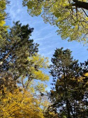 Der Stadtpark von Nordhausen mit der Zorge und dem Gondelteich an einem sonnigen Tag im Herbst