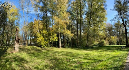 Fototapeta premium Der Stadtpark von Nordhausen mit der Zorge und dem Gondelteich an einem sonnigen Tag im Herbst