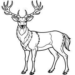 Stag Buck