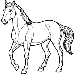 Obraz premium Stallion